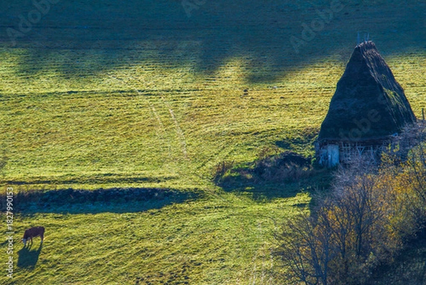 Obraz On the Transapusena, Romania