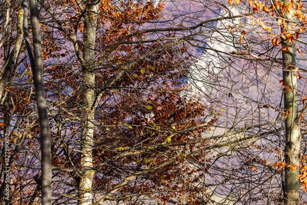 Fototapeta Colors in autumn