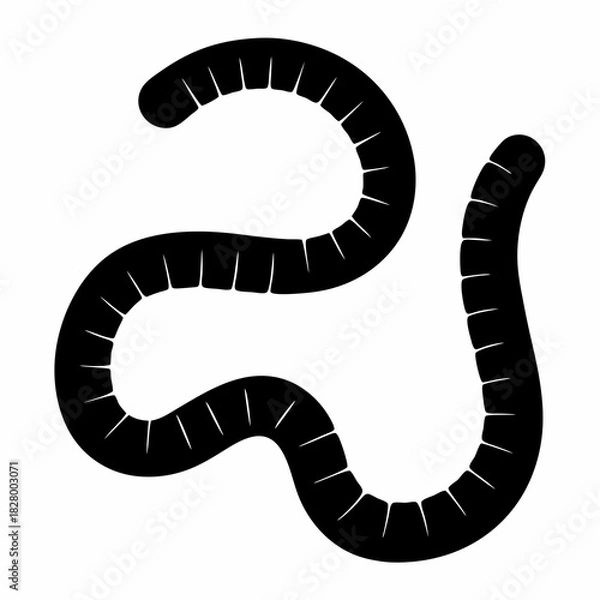 Fototapeta Silhouette depiction of an earthworm showcasing its segmented body structure and movement