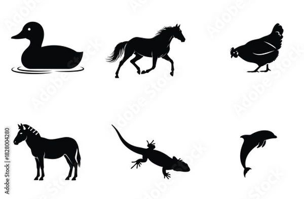 Fototapeta Vector file concept for digital design and scalable graphics.