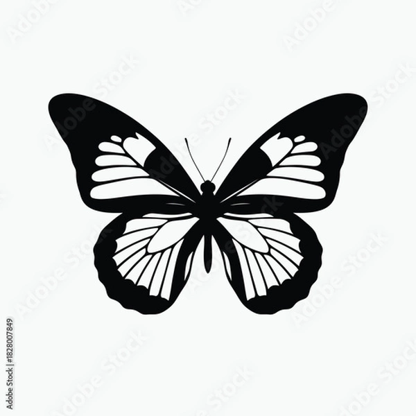 Fototapeta Vector file concept for digital design and graphic illustration