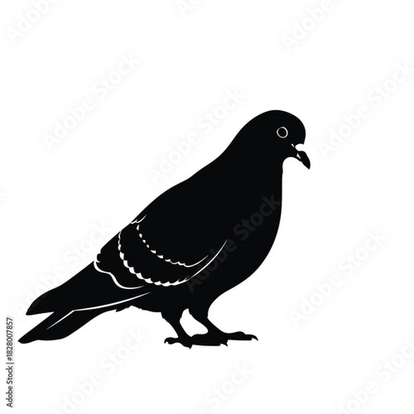 Fototapeta Vector file concept: essential graphic design digital asset element