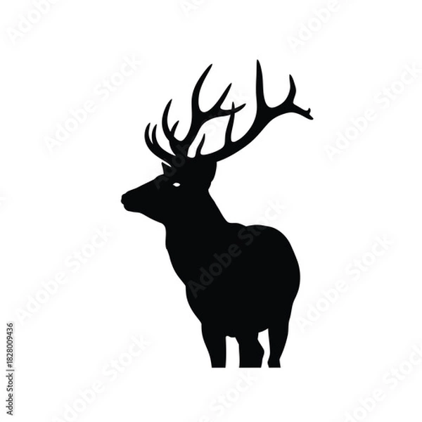 Fototapeta Versatile vector graphic for modern design projects and concepts