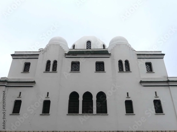 Fototapeta Paris, November 2025 : Visit of the magnificent city of Paris, Capital of France - Visit to the Grand Mosque of Paris, built to commemorate Muslims who died for France