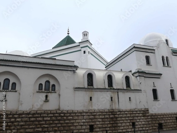 Fototapeta Paris, November 2025 : Visit of the magnificent city of Paris, Capital of France - Visit to the Grand Mosque of Paris, built to commemorate Muslims who died for France