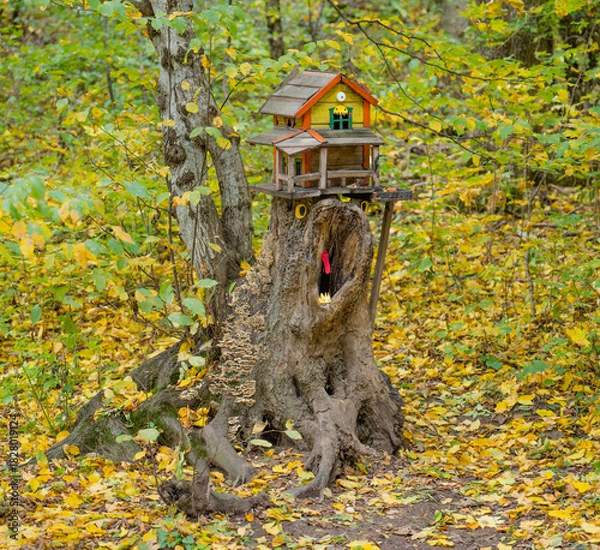 Obraz bird house on a tree