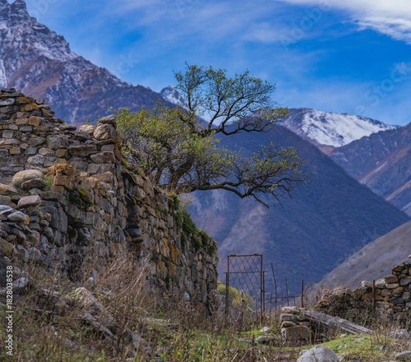 Obraz Alansky Dormition Monastery