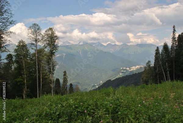 Obraz Лес, высокая гора под облаками