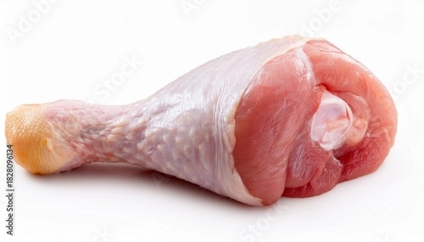 Obraz Isolated Raw Chicken Drumstick