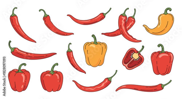 Fototapeta Collection of various hand-drawn red and yellow peppers including chili and bell peppers isolated on a white background.