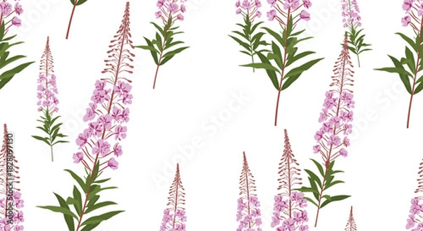 Fototapeta A delicate and airy seamless pattern of pink fireweed flowers also known as rosebay willowherb on a fresh white background.