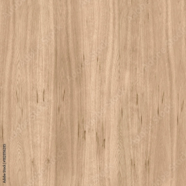 Obraz Natural OakTexture Surface Detail