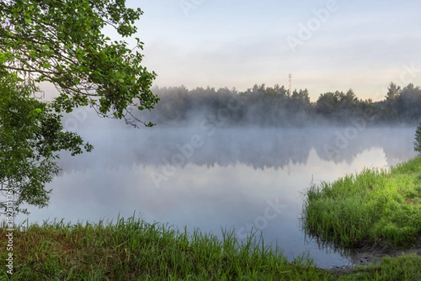 Obraz Misty morning by a lake with a tree in the foreground
