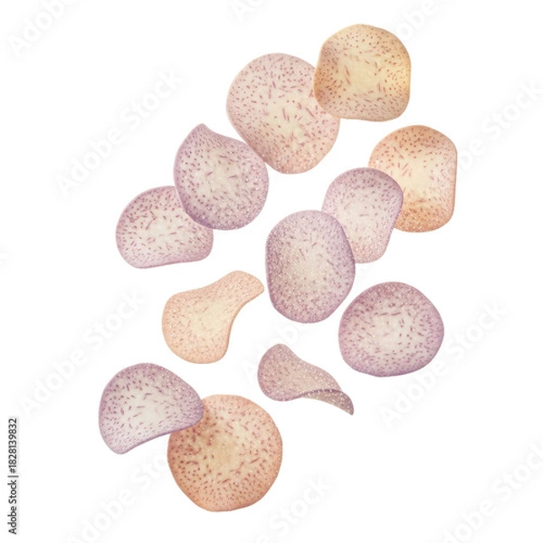 Obraz Delicate Translucent Shapes with Speckled Texture on Pastel Gradient