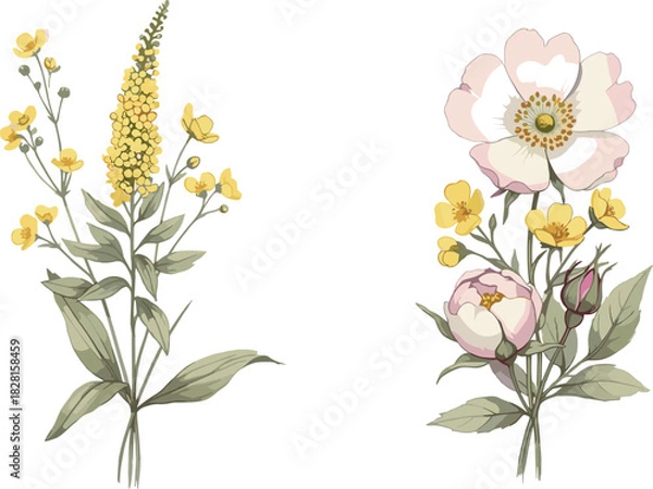 Fototapeta A charming collection of hand-drawn wildflower arrangements, one with yellow blooms and another with a pink wild rose and peony