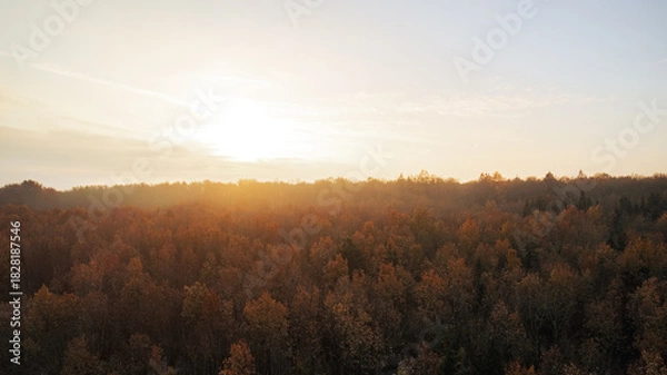 Fototapeta Aerial view of a quiet forest in late autumn during sunrise. The soft, golden morning light shines through a thin mist above the trees, creating a peaceful and atmospheric landscape. The forest is fil