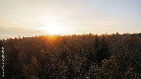 Fototapeta Aerial view of a quiet forest in late autumn during sunrise. The soft, golden morning light shines through a thin mist above the trees, creating a peaceful and atmospheric landscape. The forest is fil