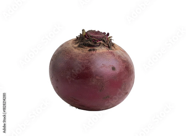 Fototapeta Single Fresh Beetroot Root Vegetable with Soil Particles on Dark Red Skin Isolated on a Transparent Background with Soft Studio Lighting