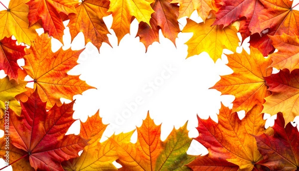 Obraz Colorful autumn leaves forming a border around a black, central void