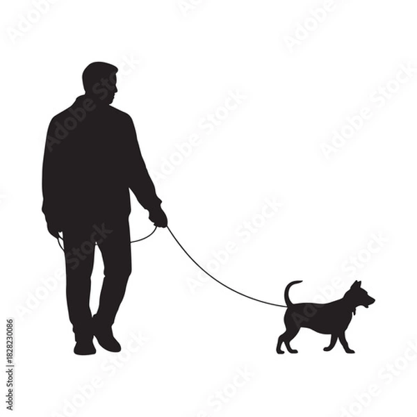 Fototapeta Silhouette of a person walking a small dog on a leash