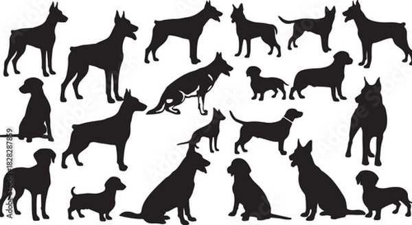 Obraz Collection of dog breed silhouettes vector illustration of various canine poses isolated on white background for graphic design and animal lovers