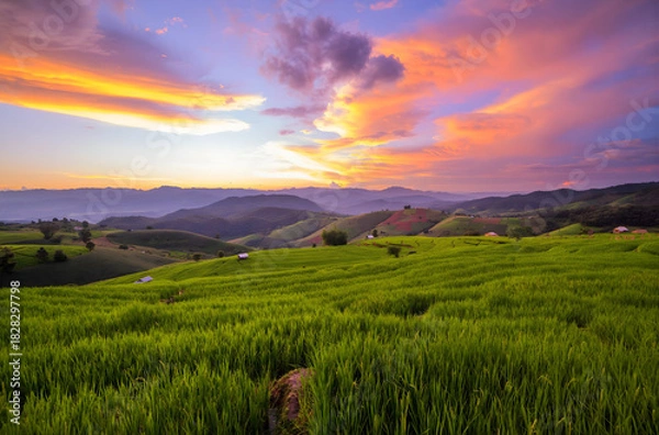 Fototapeta Vibrant Sunset Sky Over Green Terraced Rice Fields and Mountains in Asia