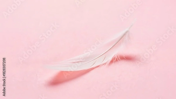 Obraz A delicate white feather resting gently on a soft pink surface creating a minimalist and serene scene