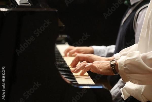 Obraz ピアノを弾く様子