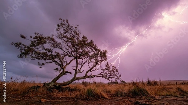 Fototapeta predictability. A solitary tree struck by lightning during a storm with dramatic sky. ESG reports, sustainability campaigns, designed for sustainability communications and ESG reporting.