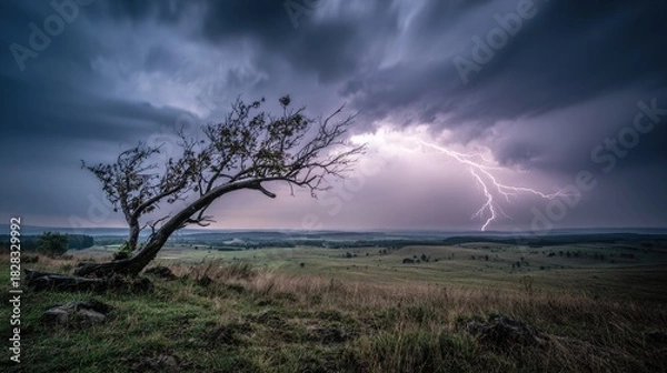 Fototapeta predictability. A solitary tree struck by lightning during a storm with dramatic sky. ESG reports, sustainability campaigns, designed for sustainability communications and ESG reporting.