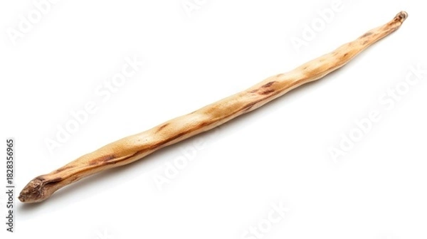 Obraz Single Dried Bean Pod Isolated on White