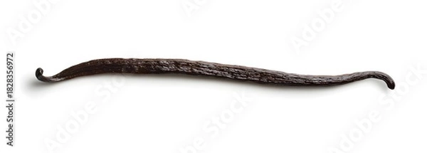 Obraz Single Vanilla Bean on White Background