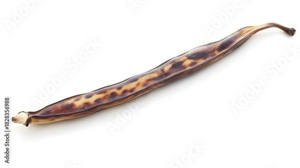 Obraz Single Dried Vanilla Bean on White Background