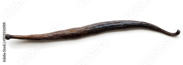 Obraz Single Dried Vanilla Bean Pod on White Background