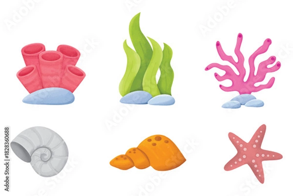 Obraz vector illustration of a set of sea shells