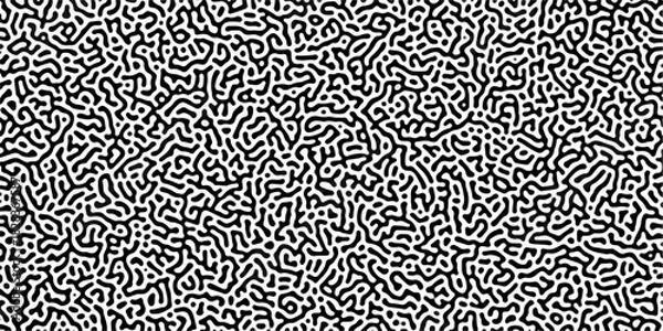 Obraz Abstract Reaction-diffusion Turing pattern natural texture gray gradient color scheme. Linear design with biological algorithm psychedelic background. Reaction-diffusion or truing patter	
