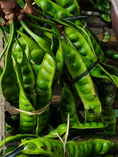 Obraz Fresh petai (bitter bean) sold at a traditional market, perfect for food promos, culinary content, farming topics, and educational materials about Indonesian local ingredients.