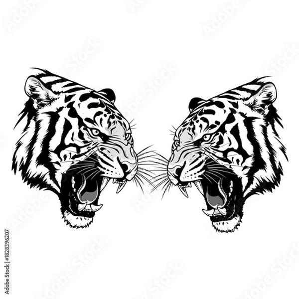 Obraz Two roaring tiger heads facing each other vector illustration