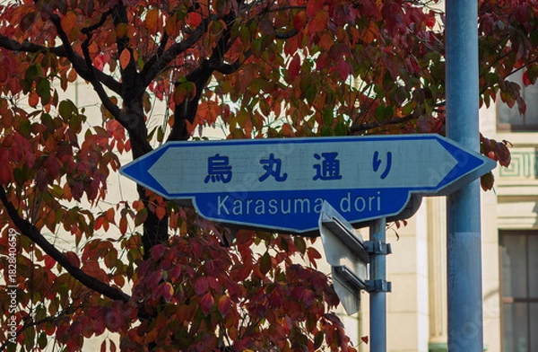 Obraz 京都、烏丸通りの案内標識