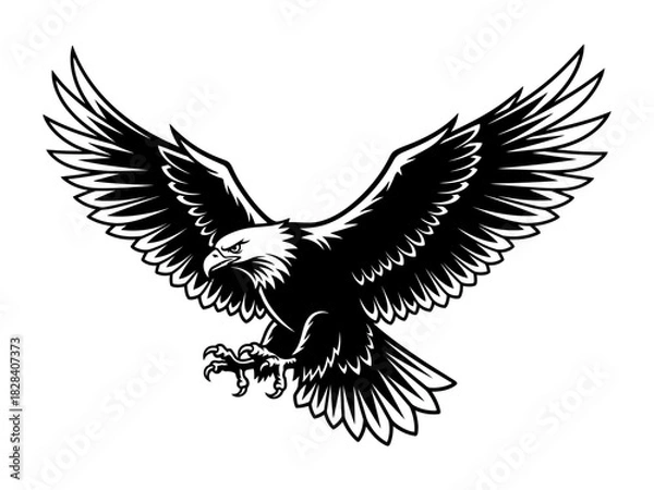 Fototapeta Dynamic Flying Eagle Vector Illustration with Wide Wings Open Detailed Bird Vector Art