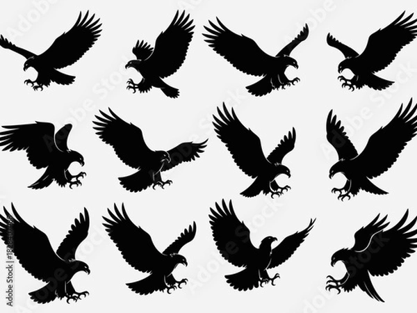 Fototapeta Eagle Silhouette Vector Art Pack with Elegant Smooth Edges Vector Design