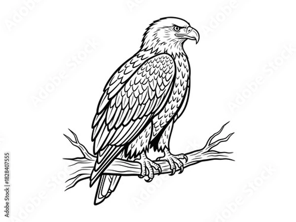 Fototapeta Detailed Eagle Vector Art Side Profile Vector Illustration, Scalable Design