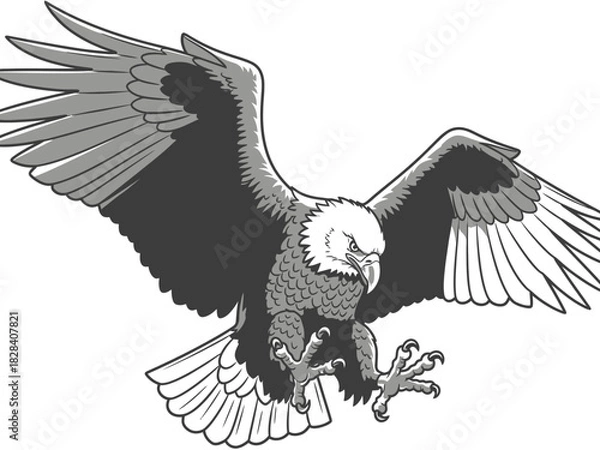 Fototapeta Detailed Bird of Prey Vector Illustration Attacking with Wings Spread Vector Art