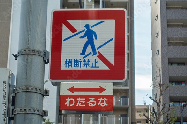 Obraz 規制標識 歩行者横断禁止