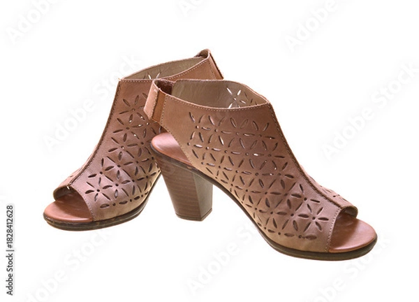 Obraz women shoes isolated on white background
