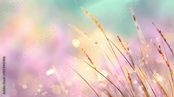 Fototapeta A soft, dreamy background with delicate grass strands, illuminated by gentle light, a serene and tranquil atmosphere, floral rainbow background