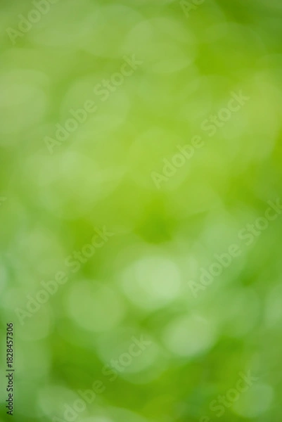 Obraz Defocus light background vertical photo blurred greenery.