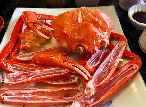 Obraz 蟹料理 食べ終わったズワイガニ(松葉ガニ)の殻