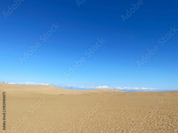 Obraz 冬の鳥取砂丘　日本