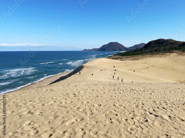 Obraz 冬の鳥取砂丘　日本